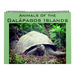galapagos islands animals 2027 large calendar