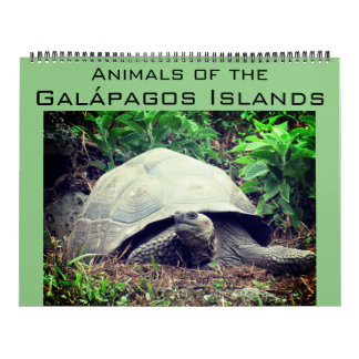 galapagos islands animals 2027 large calendar