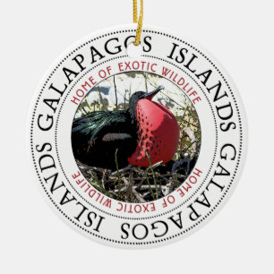 Galapagos Islands Great Frigate Bird Ceramic Ornament