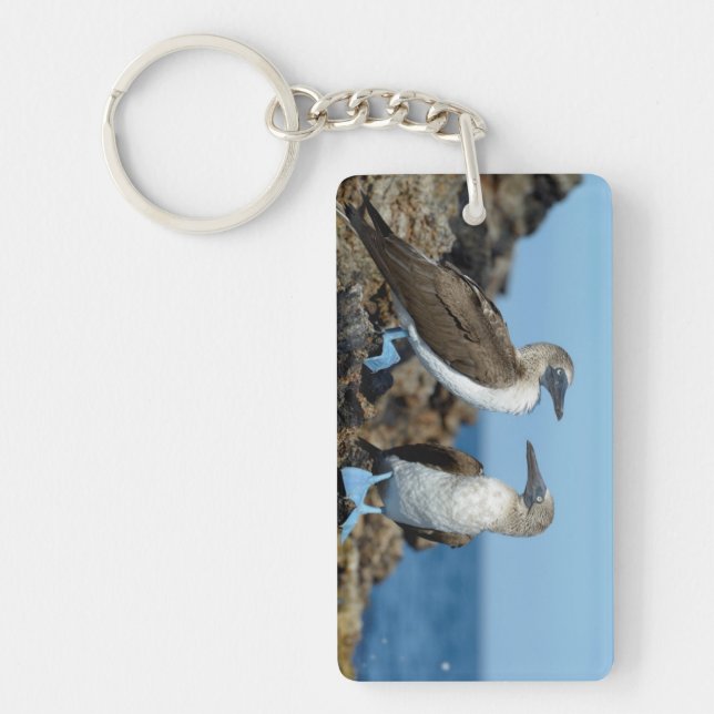 Galapagos Islands, Isabela Island Keychain (Front)