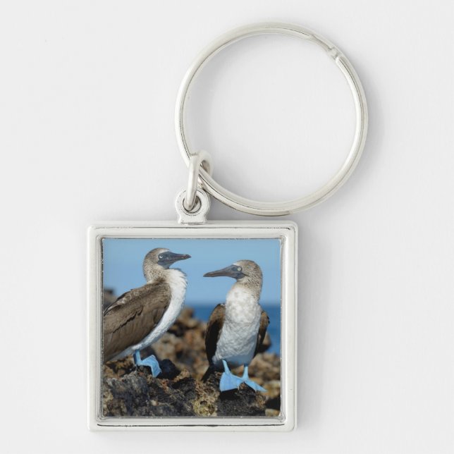 Galapagos Islands, Isabela Island Keychain (Front)