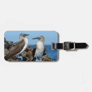 Galapagos Islands, Isabela Island Luggage Tag