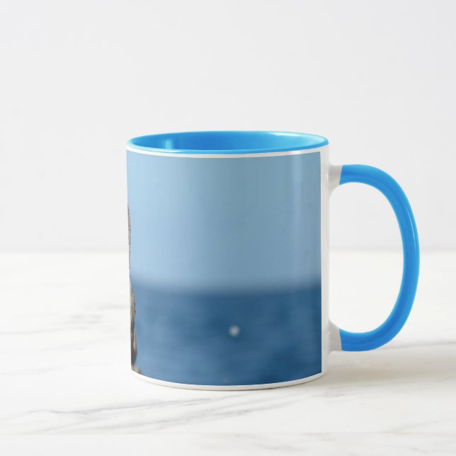 Galapagos Islands, Isabela Island Mug (Right)