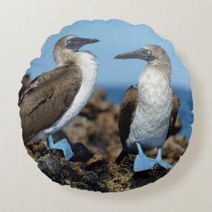Galapagos Islands, Isabela Island Round Pillow
