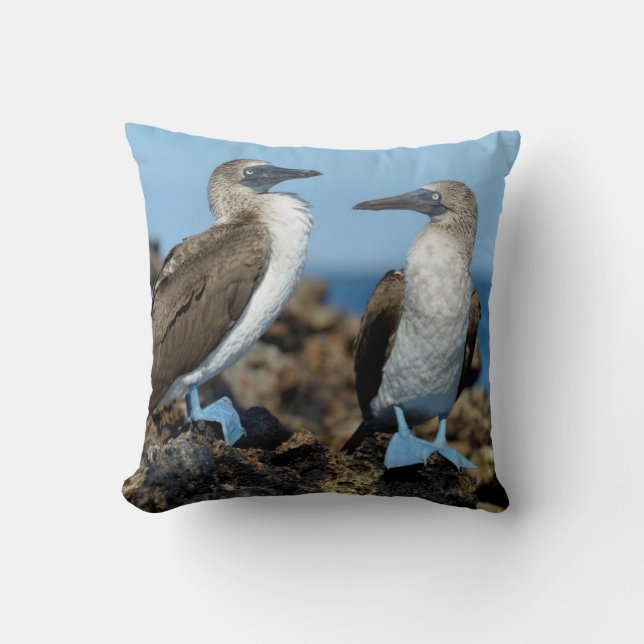 Galapagos Islands, Isabela Island Throw Pillow (Front)