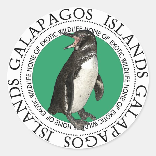 Galapagos Islands Penguin Classic Round Sticker (Front)