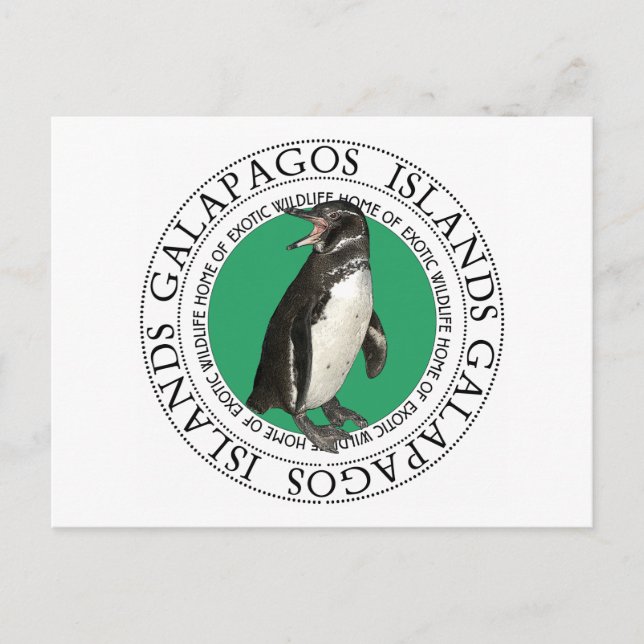 Galapagos Islands Penguin Postcard (Front)