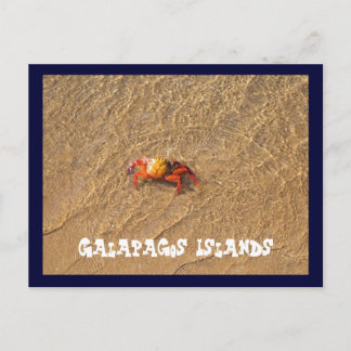 Galapagos Islands Postcard