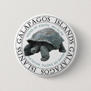 Galapagos Islands Tortoise 2 Inch Round Button