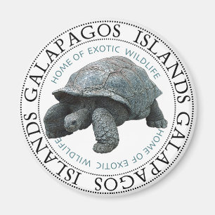Galapagos Islands Tortoise Magnet