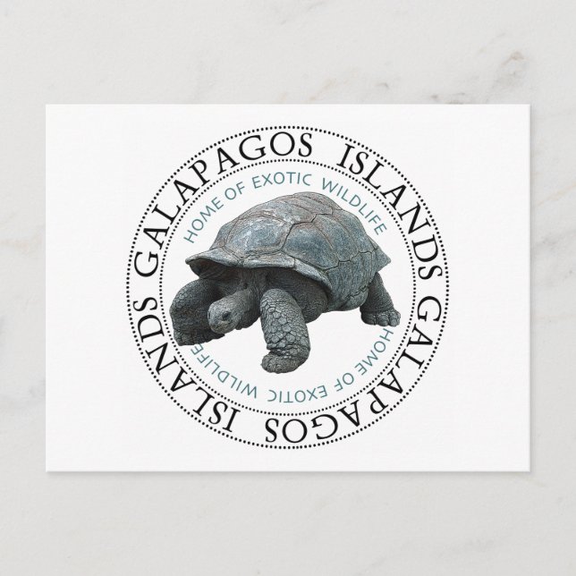 Galapagos Islands Tortoise Postcard (Front)