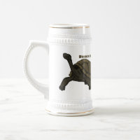 Galapagos land tortoise illustration