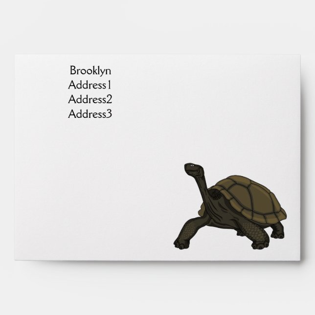 Galapagos land tortoise illustration  envelope (Front)