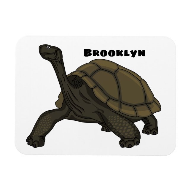 Galapagos land tortoise illustration magnet (Horizontal)
