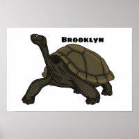 Galapagos land tortoise illustration
