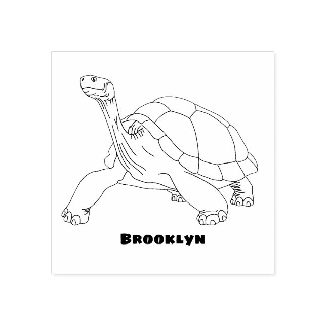 Galapagos land tortoise illustration  rubber stamp (Imprint)