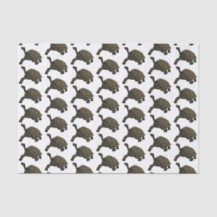 Galapagos land tortoise illustration tissue paper