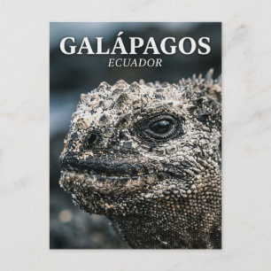 Galápagos National Park Ecuador Postcard