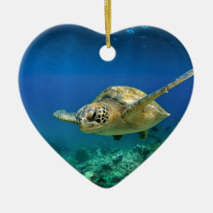 Galapagos paradise green sea turtle underwater ceramic ornament