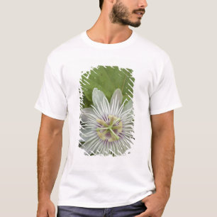 Galapagos Passion Flower Passiflora foetida T-Shirt