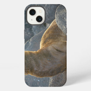 Galapagos sea lion iPhone 13 case