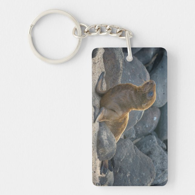 Galapagos Sea Lion Keychain (Front)