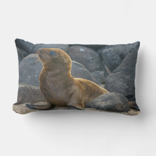 Galapagos Sea Lion Lumbar Pillow