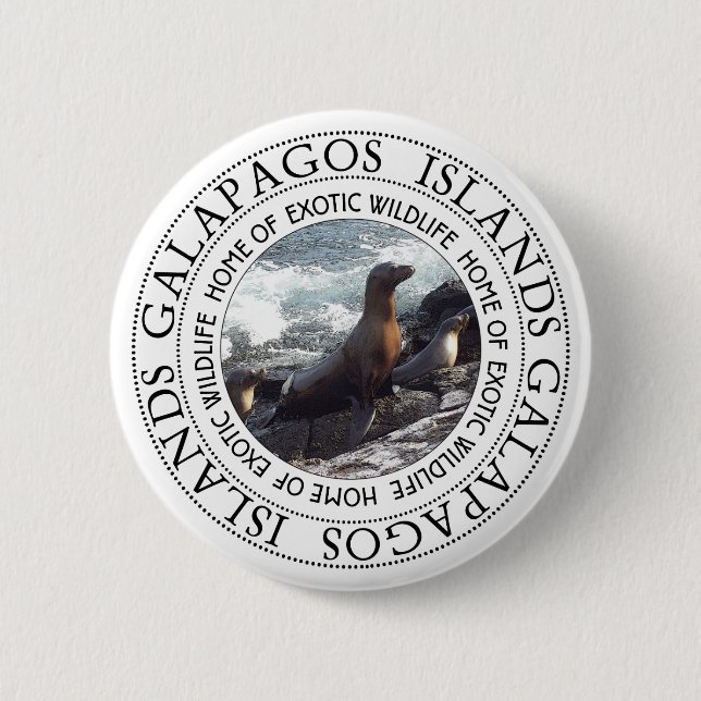 GALAPAGOS SEALS ROUND 2 INCH ROUND BUTTON (Front)