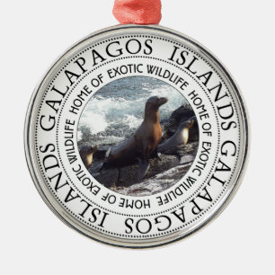 GALAPAGOS SEALS ROUND METAL ORNAMENT
