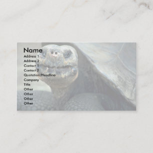 Galapagos Tortoise Business Card
