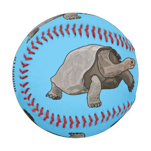 Galapagos tortoise cartoon illustration baseball