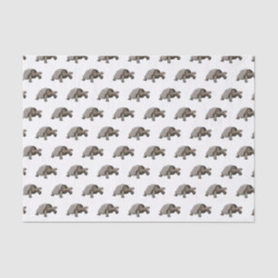 Galapagos tortoise cartoon illustration tissue paper