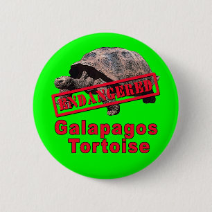 Galapagos Tortoise  Endangered Art Tshirts 2 Inch Round Button