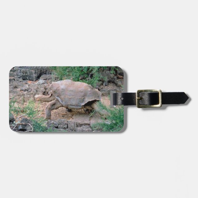 Galapagos Tortoise Luggage Tags (Front Horizontal)