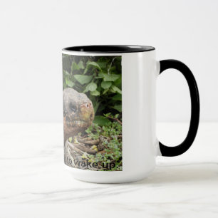 Galapagos Tortoise Mug