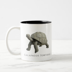 Galapagos Tortoise Two-Tone Coffee Mug