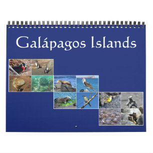 galapagos wildlife 2026 calendar