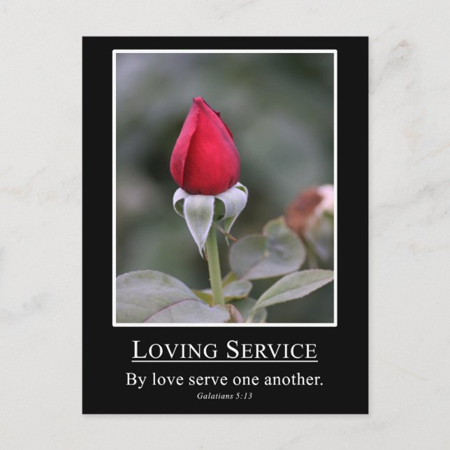 Galatians 5:13 Serve others with love Postcard (Front)