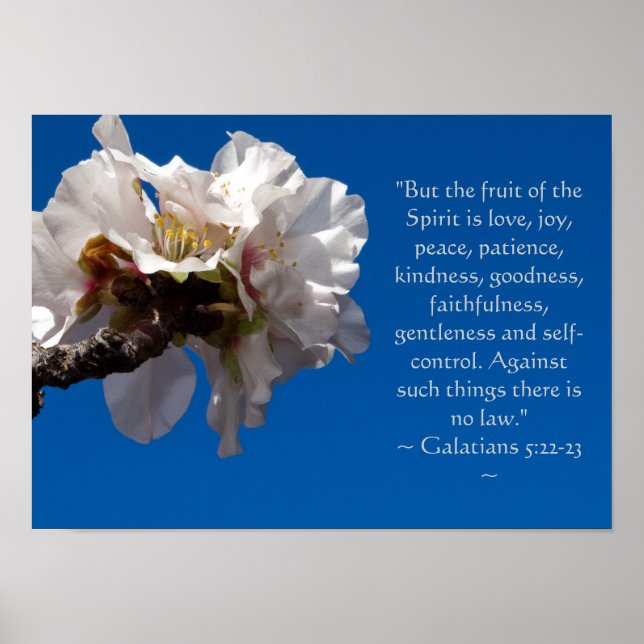 Galatians 5:22,23 Poster (Front)