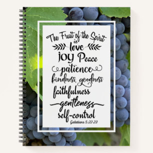 Galatians 5:22-23 The Fruit of the Spirit Notebook