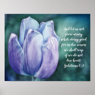 Galatians 6:9 Blue Tulip Poster