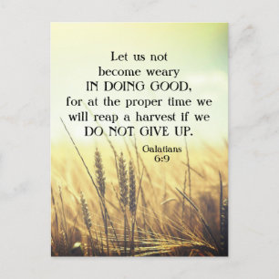 Galatians 6:9 Do not become weary in doing good Postcard