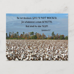 Galations 6:7 Be not deceived, God is not mocked.. Postcard