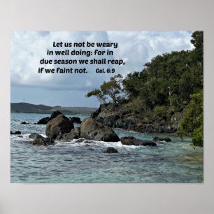 Galations 6:9 Let us not be weary in well doing Poster