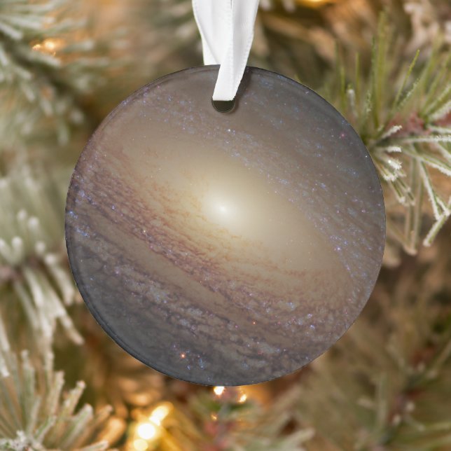 Galaxie Spirale Ngc 2841 (Arbre)