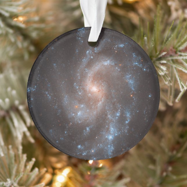 Galaxie Spirale Ngc 5584 (Arbre)