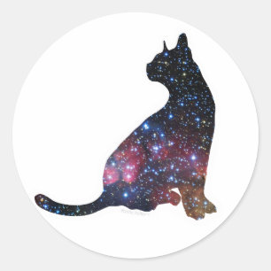Galaxy Cat Sticker 3