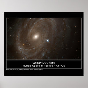 Galaxy NGC 4603 Hubble Telescope Photo Poster