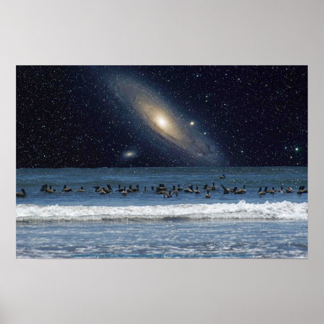 Galaxy Pelicans Poster (Front)