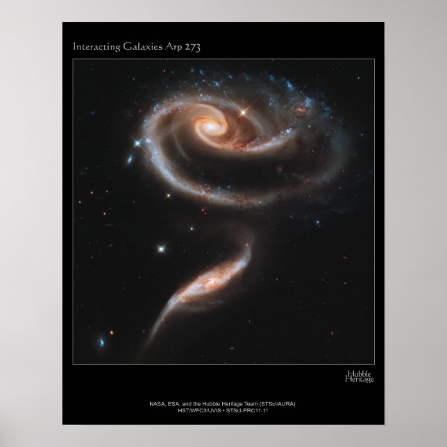 Galaxy Rose Poster (Front)